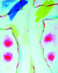 Torso