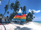Catamarane am Pigeon Point