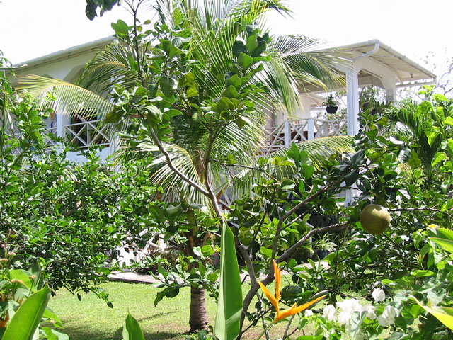 Atelier Tobago