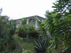 Haus