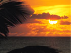 Sunset am Black Rock