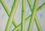 Bamboo