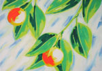 oranges